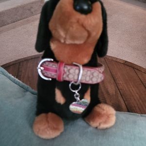 New Coach Large Leather Dog Collar